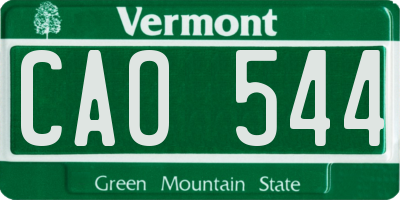 VT license plate CAO544