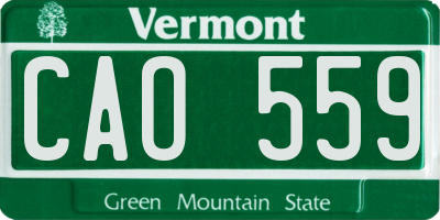 VT license plate CAO559
