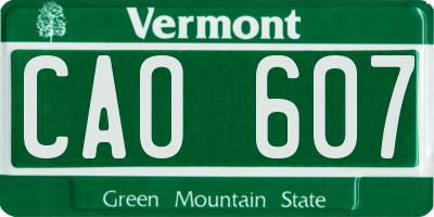 VT license plate CAO607
