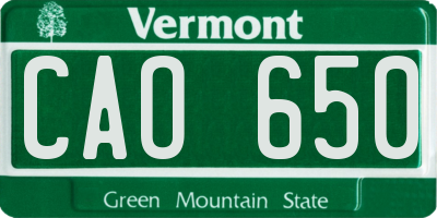 VT license plate CAO650