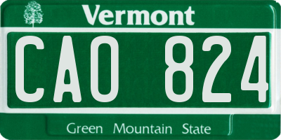 VT license plate CAO824