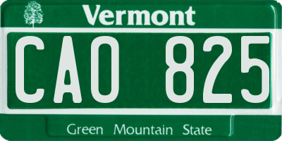 VT license plate CAO825