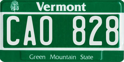 VT license plate CAO828