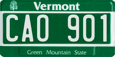 VT license plate CAO901