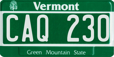 VT license plate CAQ230