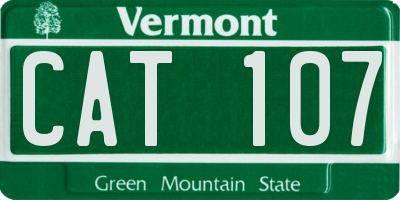VT license plate CAT107