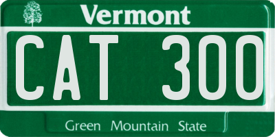 VT license plate CAT300