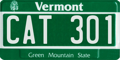 VT license plate CAT301