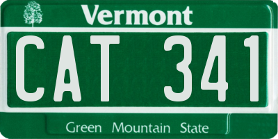 VT license plate CAT341