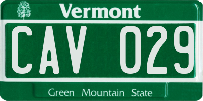 VT license plate CAV029