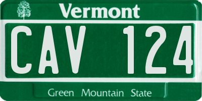 VT license plate CAV124