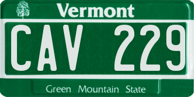 VT license plate CAV229