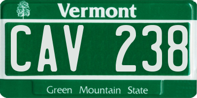 VT license plate CAV238