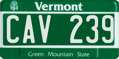 VT license plate CAV239