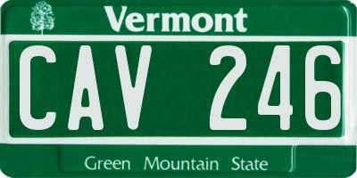 VT license plate CAV246