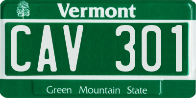 VT license plate CAV301