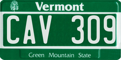 VT license plate CAV309
