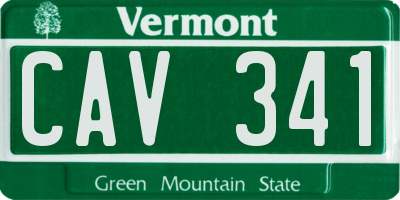 VT license plate CAV341
