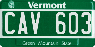 VT license plate CAV603