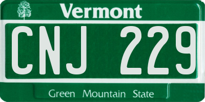 VT license plate CNJ229