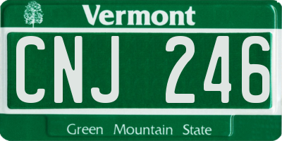VT license plate CNJ246