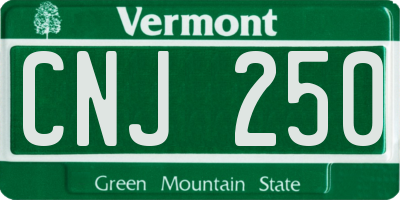 VT license plate CNJ250