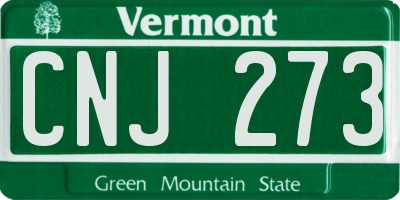 VT license plate CNJ273