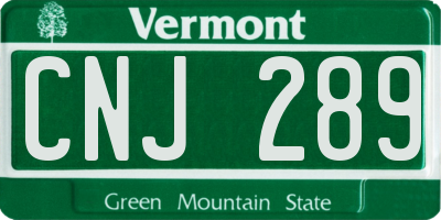 VT license plate CNJ289