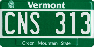 VT license plate CNS313