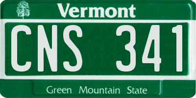 VT license plate CNS341