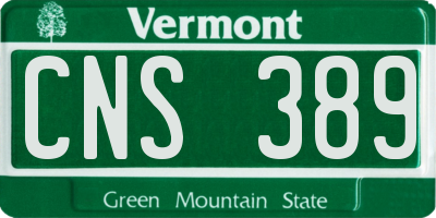 VT license plate CNS389