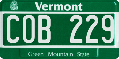 VT license plate COB229