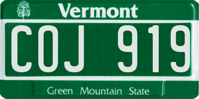 VT license plate COJ919
