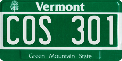 VT license plate COS301