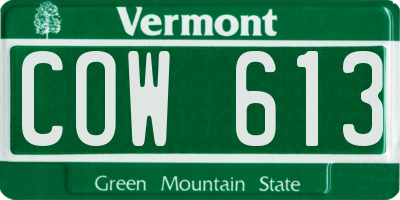 VT license plate COW613