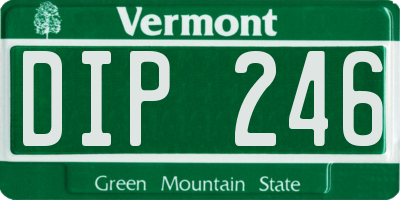 VT license plate DIP246