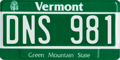 VT license plate DNS981