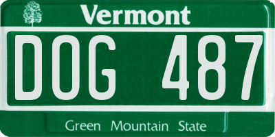 VT license plate DOG487