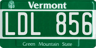VT license plate LDL856