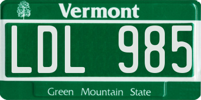 VT license plate LDL985