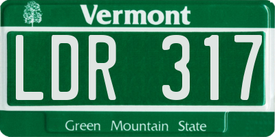 VT license plate LDR317