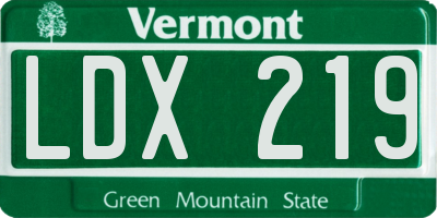 VT license plate LDX219