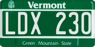 VT license plate LDX230