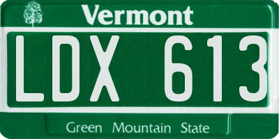 VT license plate LDX613