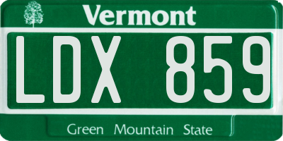 VT license plate LDX859