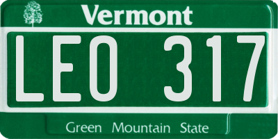 VT license plate LEO317