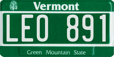 VT license plate LEO891