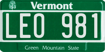 VT license plate LEO981