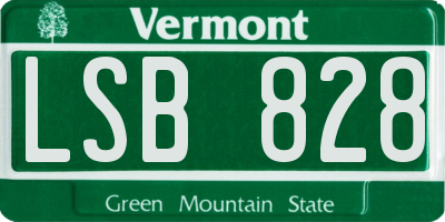 VT license plate LSB828
