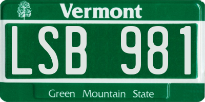 VT license plate LSB981